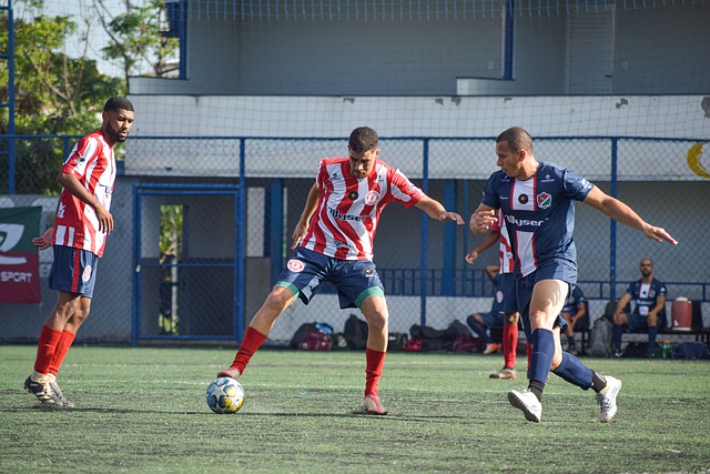 给予支持 给予支持