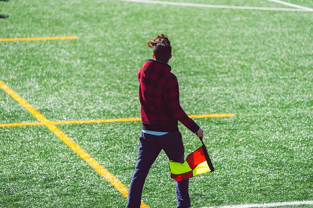 这个新兴都 这个新兴都