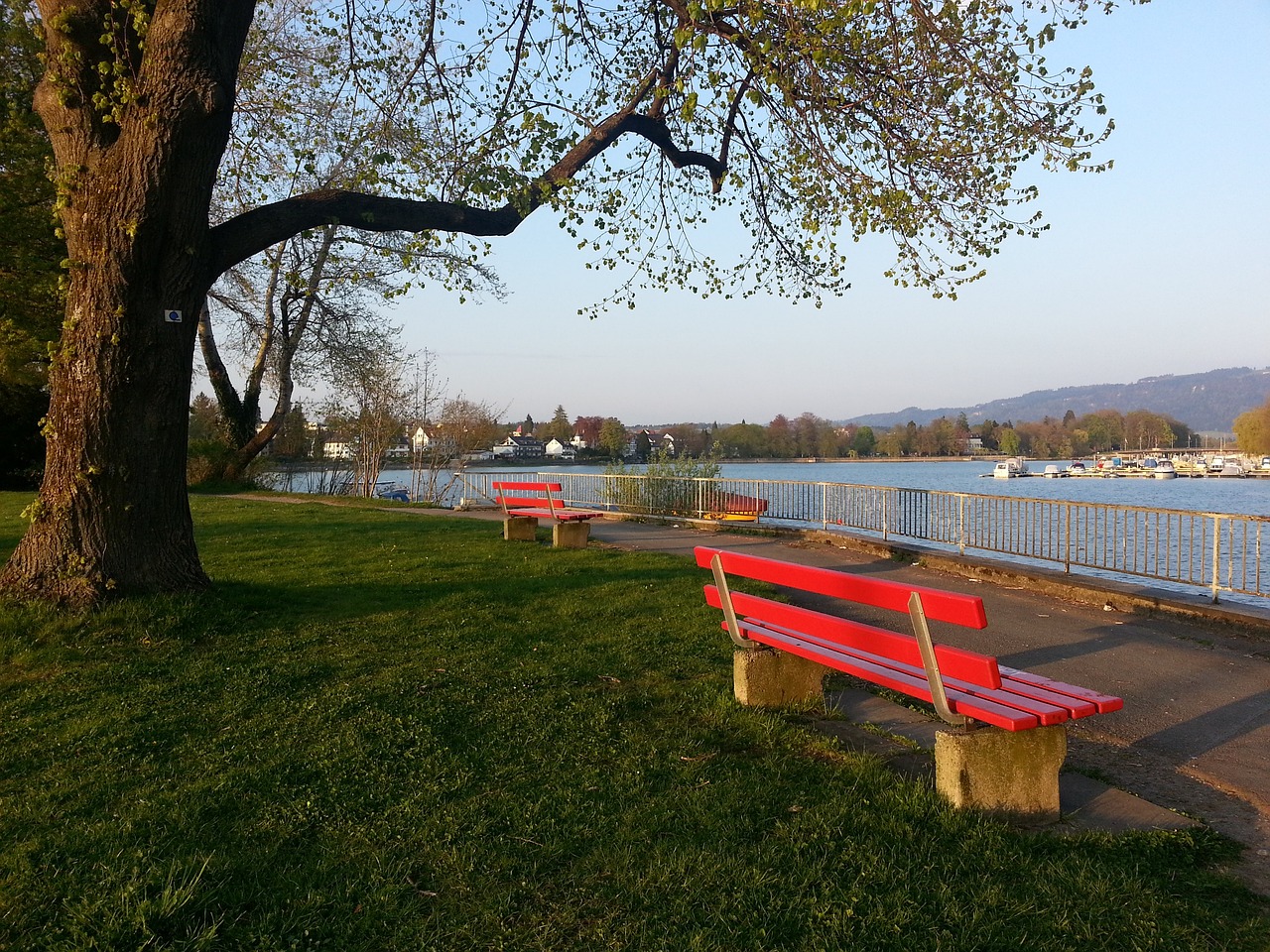 仅为球队赢 仅为球队赢