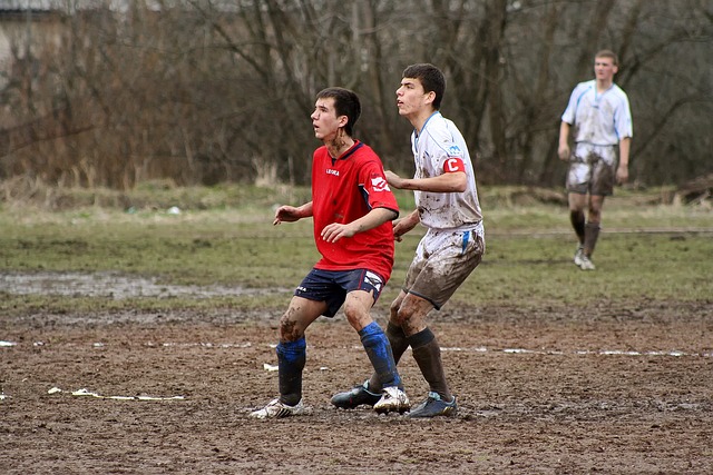 无疑成为焦 无疑成为焦