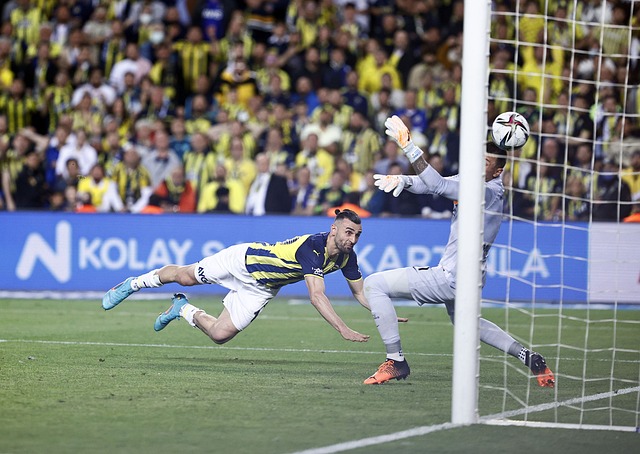 中生存与发 中生存与发