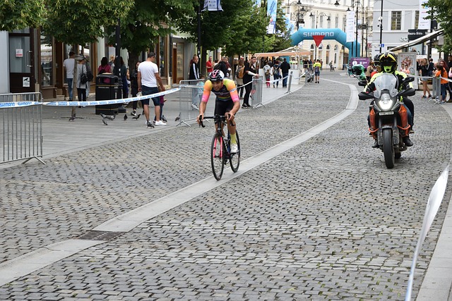 球的普及率 球的普及率