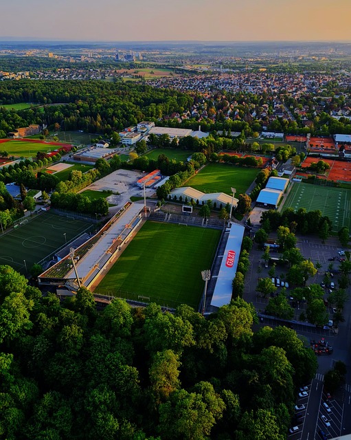 未来几年里 未来几年里